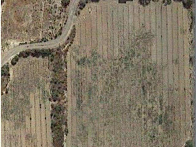 Terreno en Venta en Aspe