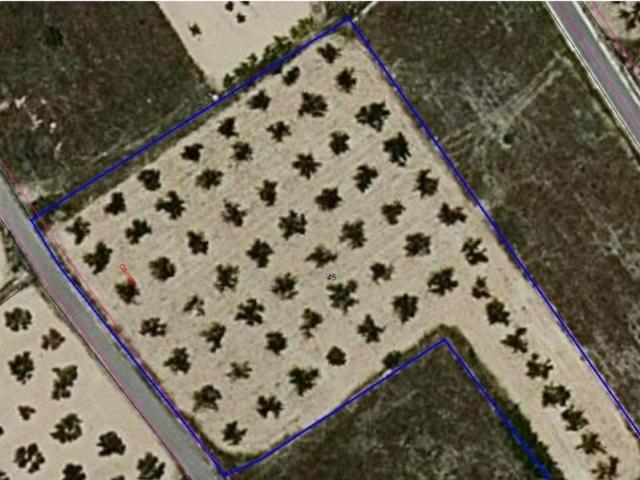 Terreno en Venta en Aspe