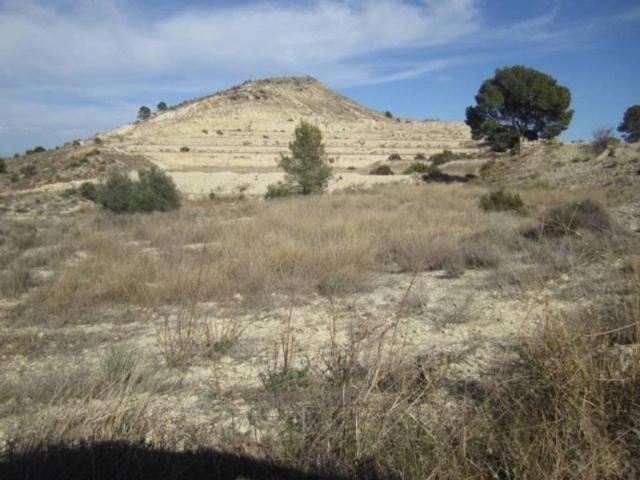 Terreno en Venta en Aspe