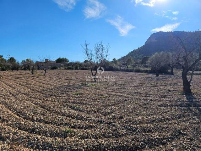 Terreno en Venta en Aspe