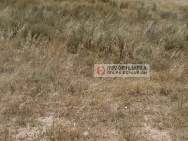 Terreno en Venta en Aspe