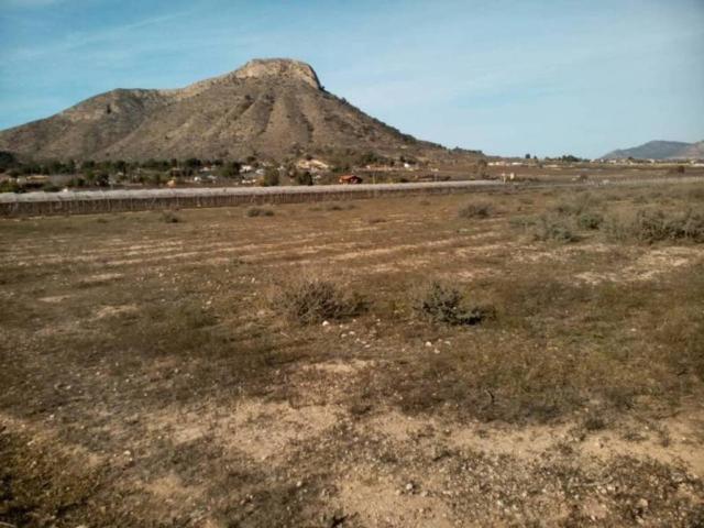 Terreno en Venta en Aspe