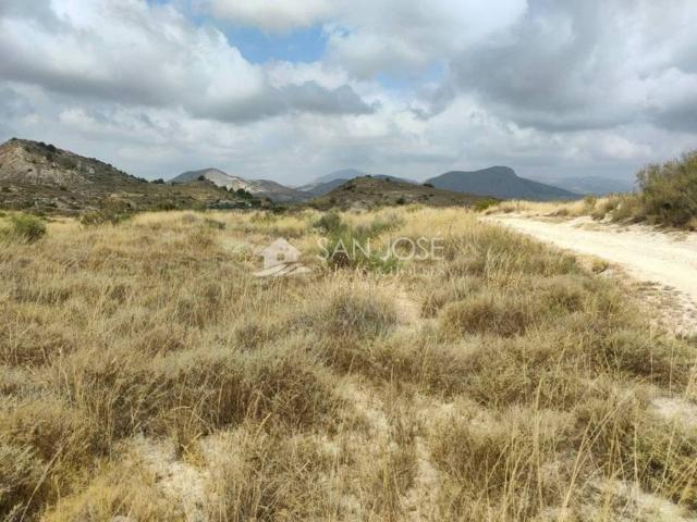 Terreno en Venta en Aspe