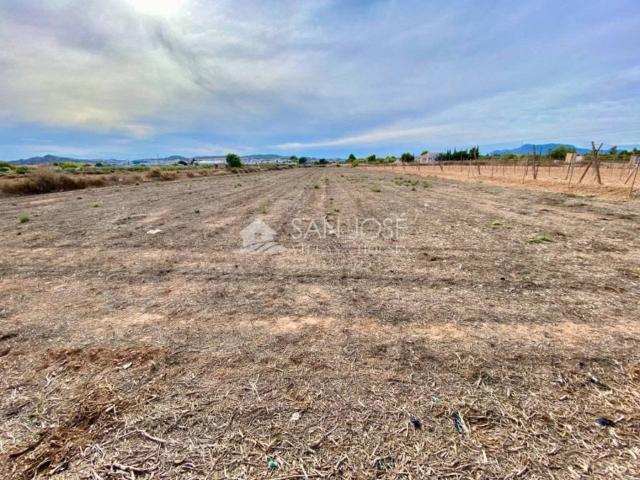 Terreno en Venta en Aspe