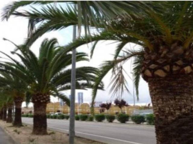 Terreno en Venta en Aspe