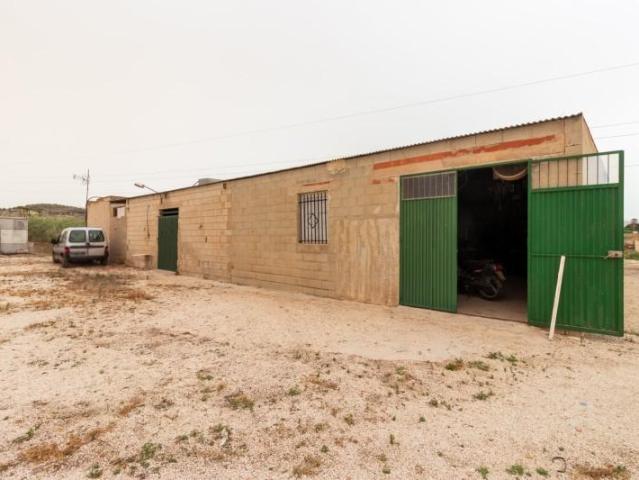 Terreno en venta en Aspe, Aspe