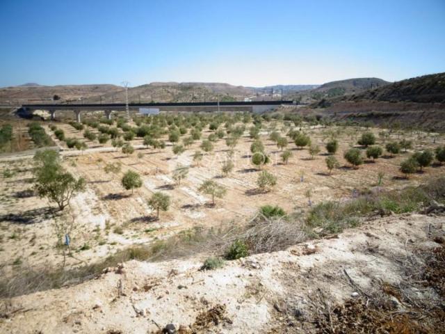 Terreno en venta en Aspe, Aspe