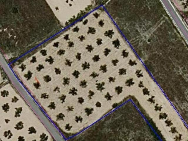 Terreno en venta en Aspe, Tres Hermanas