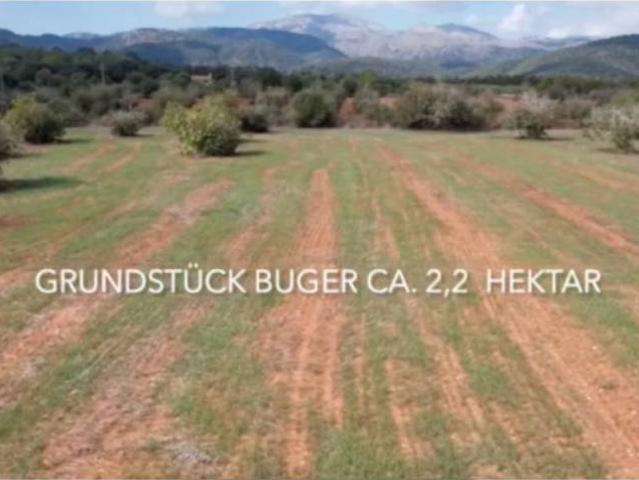 Terreno en Venta en Búger