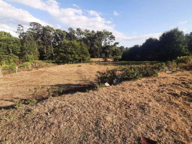 Terreno en venta en Budiño. Porriño