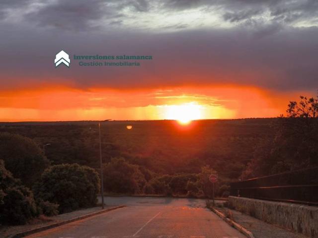Terreno en Venta en Buenavista