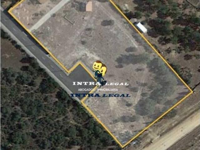 Terreno en Venta en Buenavista
