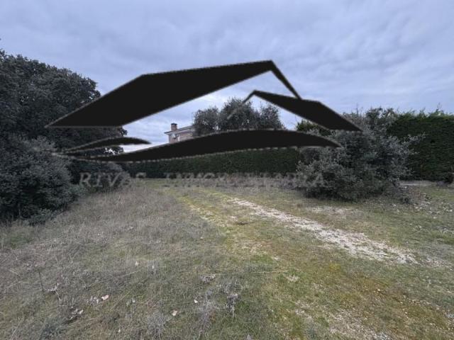 Terreno en venta en Buenavista, Buenavista