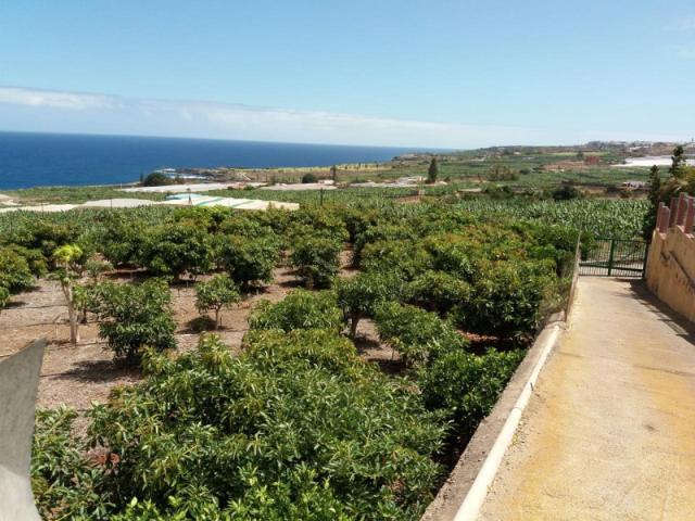 Terreno en venta en Buenavista del Norte, Camino el Rincón, 38480