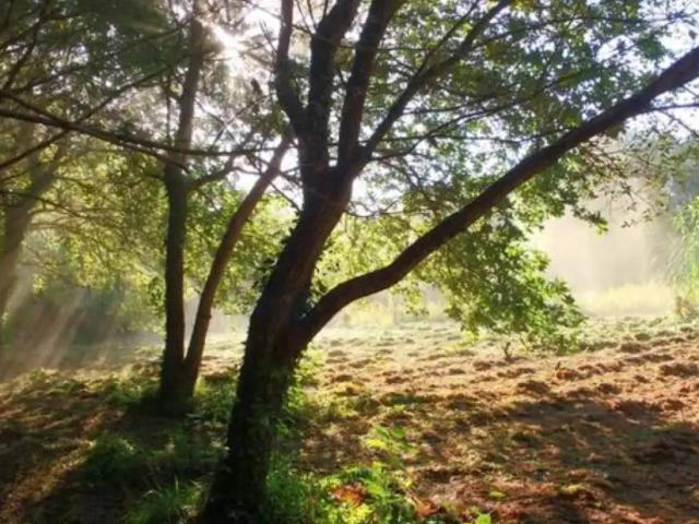 Terreno en Venta en Bueu