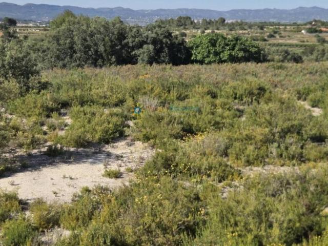 Terreno en Venta en Bufali