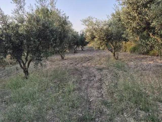 Terreno en Venta en Bullas