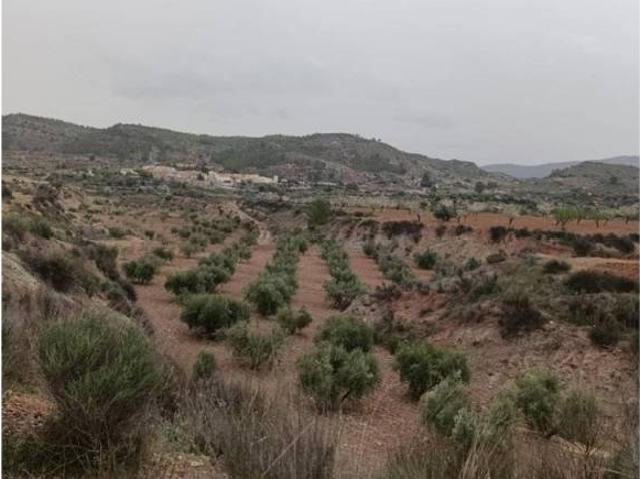 Terreno en Venta en Bullas