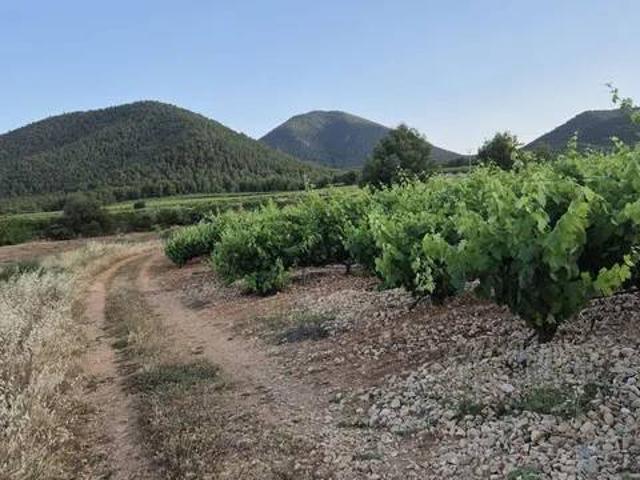 Terreno en Venta en Bullas
