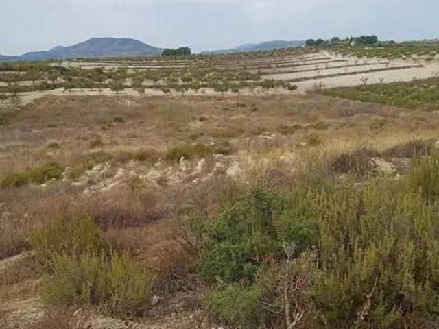 Terreno en Venta en Bullas