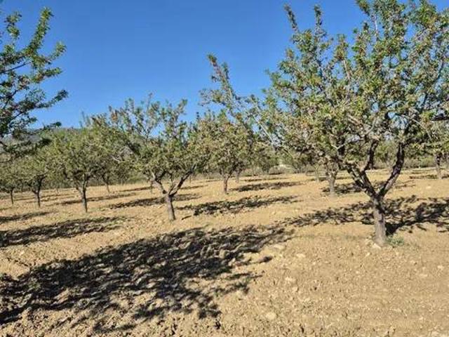 Terreno en Venta en Bullas