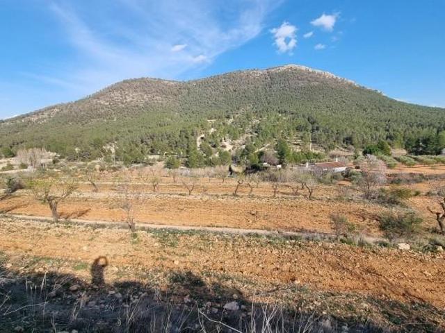 Terreno en venta en Bullas, Campiña