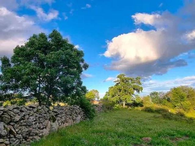 Terreno en Venta en Bustarviejo