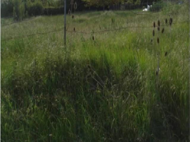 Terreno en Venta en Burgos