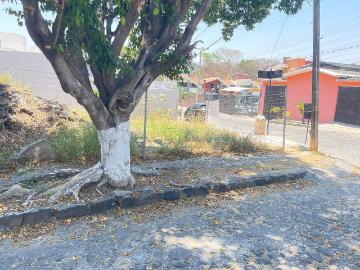 Terreno en Venta en Burgos Bugambilias, Sección Casablanca – Oportunidad Única
