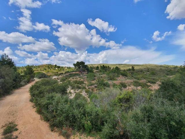 Terreno en Venta en Buñol