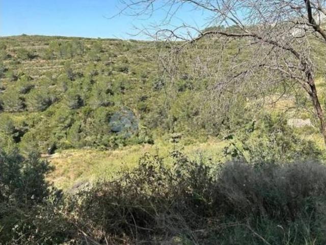 Terreno en Venta en Buñol