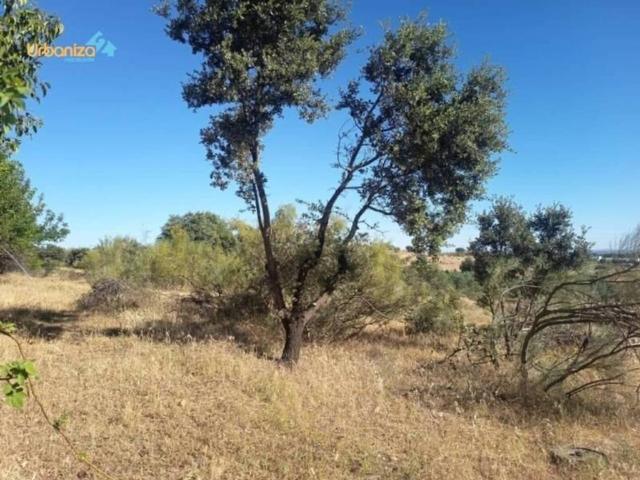 Terreno en Venta en Badajoz