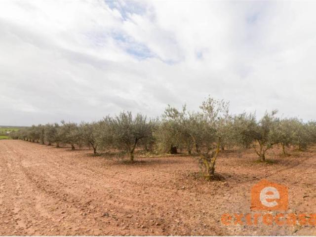 Terreno en Venta en Badajoz