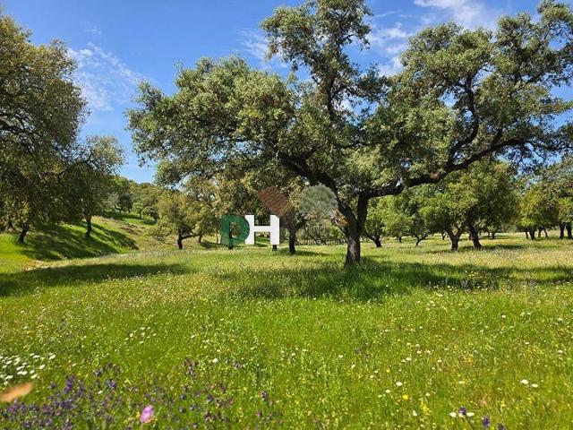 Terreno en Venta en Badajoz