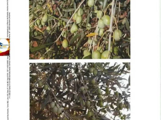 Terreno en Venta en Badajoz