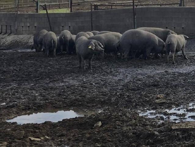 Terreno en Venta en Badajoz