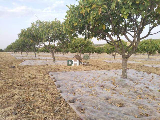 Terreno en Venta en Badajoz