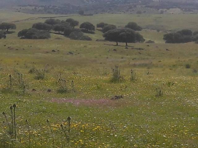 Terreno en Venta en Badajoz