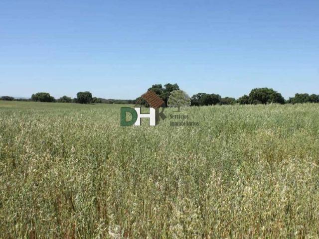 Terreno en Venta en Badajoz