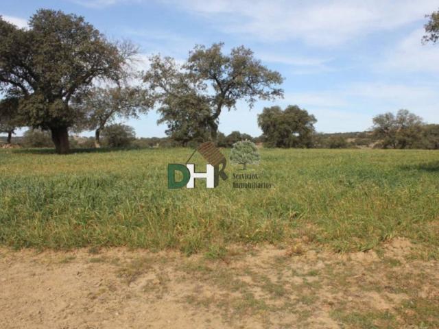 Terreno en Venta en Badajoz