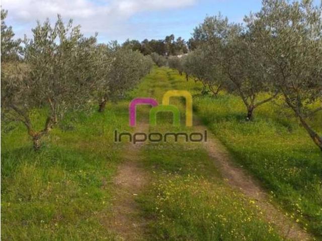 Terreno en Venta en Badajoz