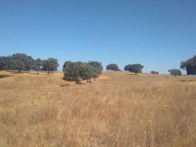 Terreno en Venta en Badajoz