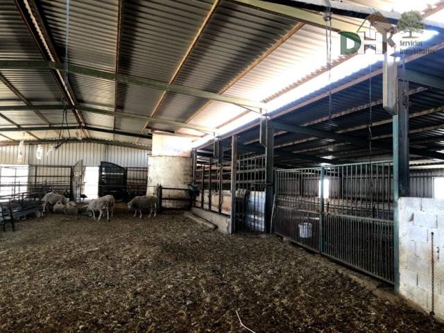 Terreno en Venta en Badajoz