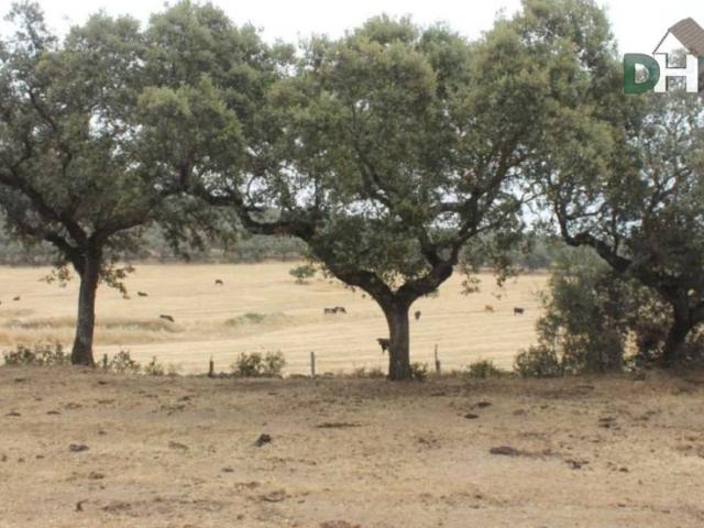 Terreno en Venta en Badajoz