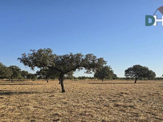 Terreno en Venta en Badajoz