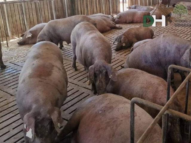 Terreno en Venta en Badajoz