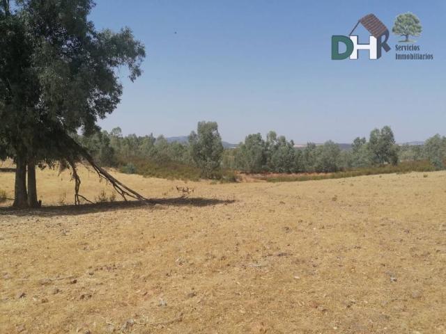 Terreno en Venta en Badajoz