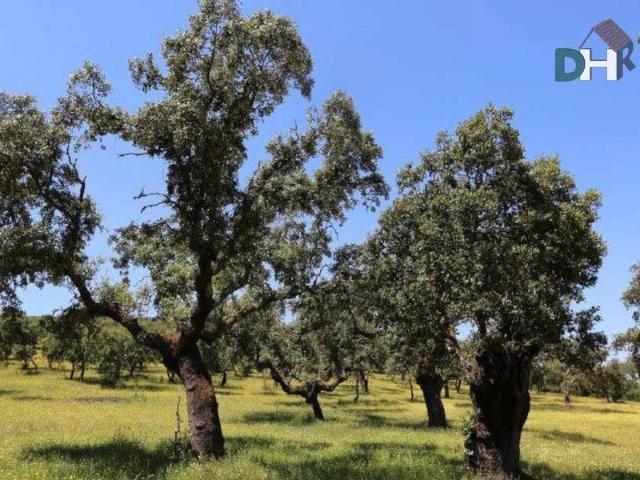 Terreno en Venta en Badajoz