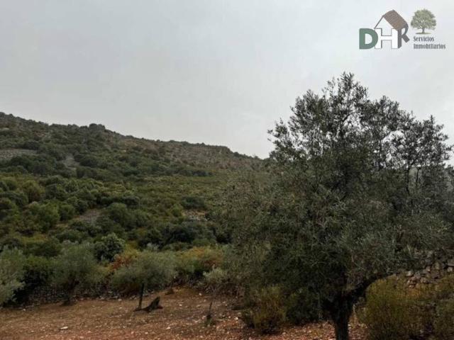 Terreno en Venta en Badajoz