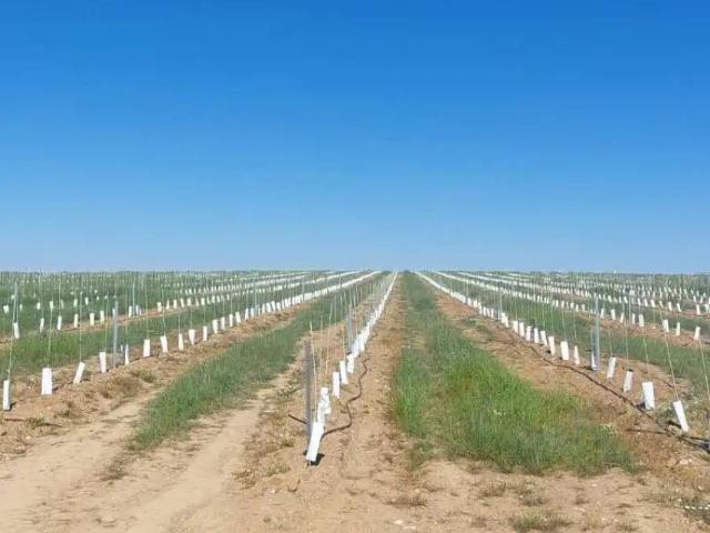Terreno en Venta en Badajoz